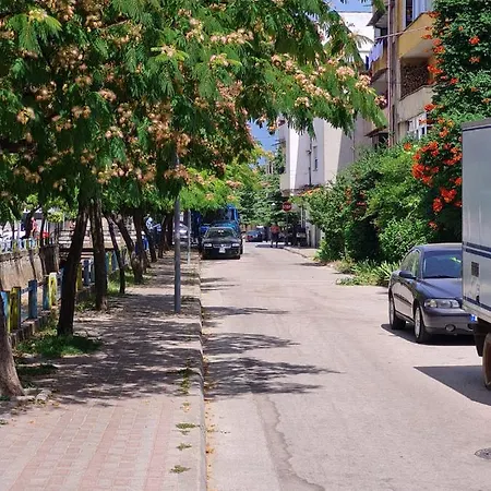 Balliu Hous * Πόγραδετς