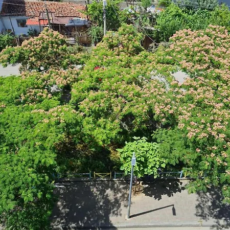 Balliu Hous